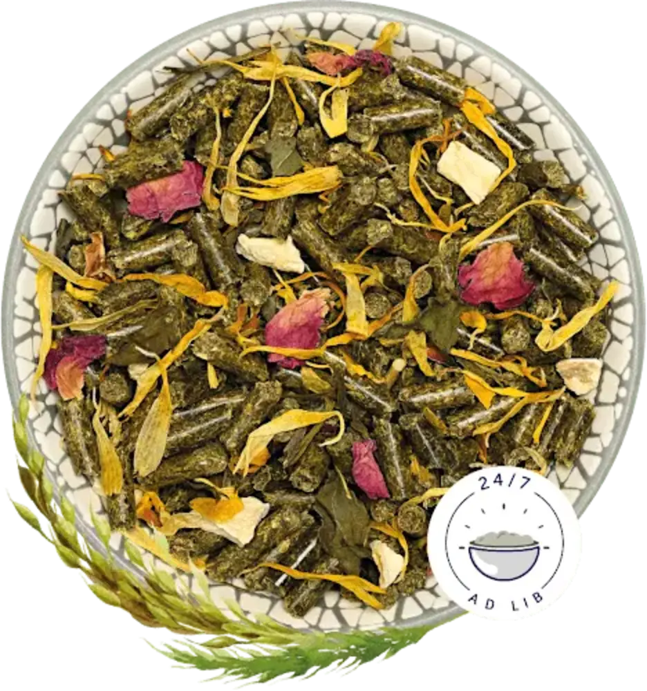 Bunny Nature Bunny Nature - ChinchillaDroom Basic - 1.2 kilo Bunny Nature Bunny Nature - ChinchillaDroom Basic - 1.2 kilo