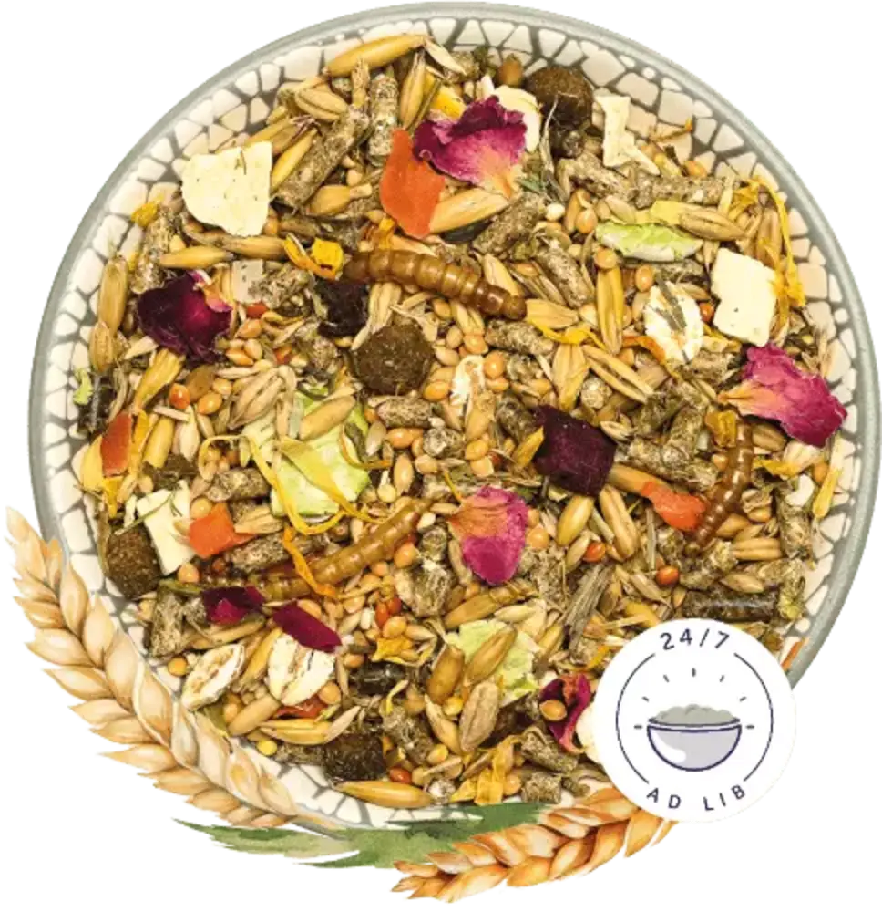 Bunny Nature Bunny Nature - DwerghamsterDroom Basic - 600 gram Bunny Nature Bunny Nature - DwerghamsterDroom Basic - 600 gram