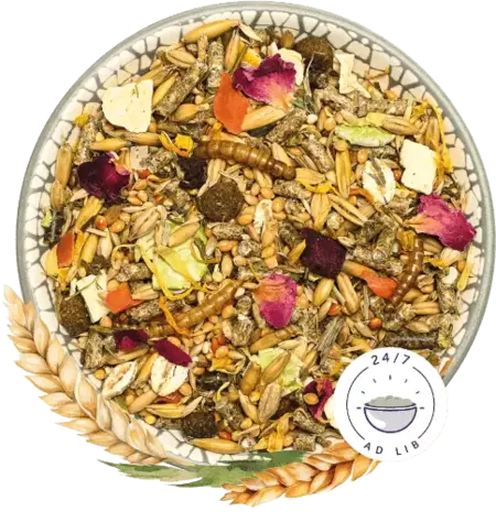 Bunny Nature Bunny Nature - DwerghamsterDroom Basic - 600 gram Bunny Nature Bunny Nature - DwerghamsterDroom Basic - 600 gram