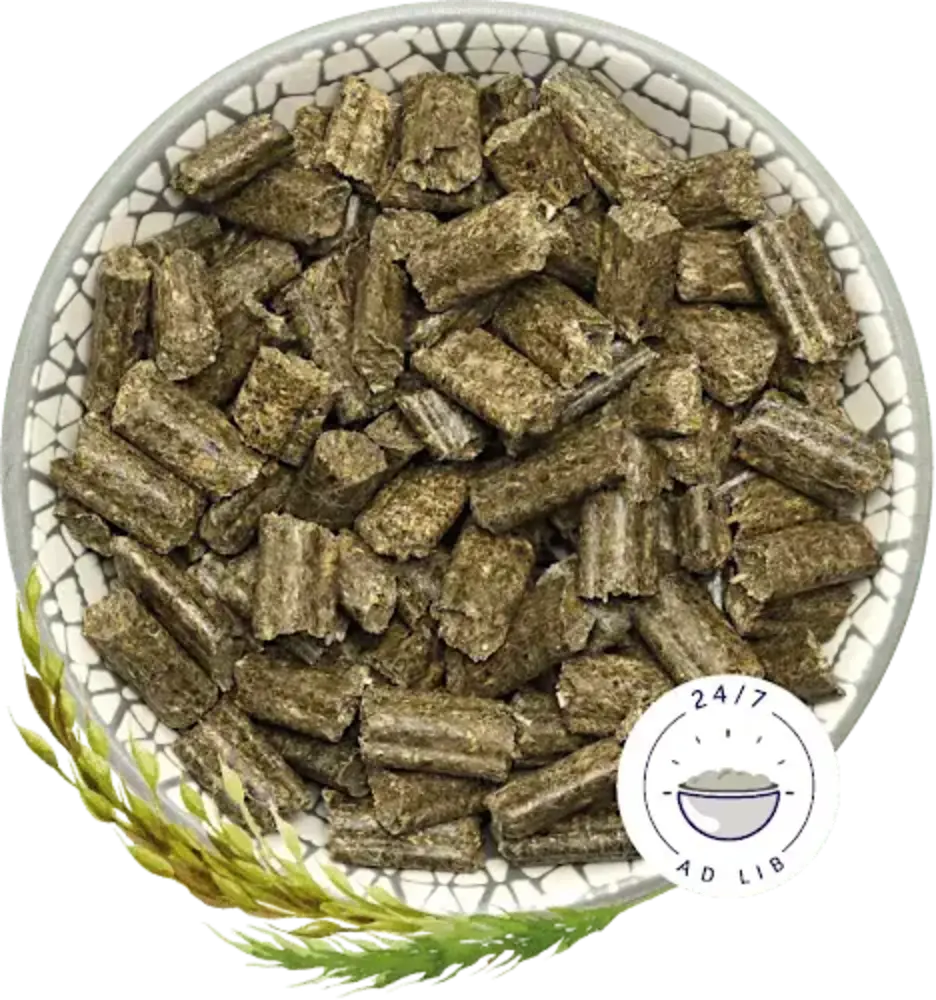 Bunny Nature Bunny Nature - KonijnenDroom Basic - 25 kilo Bunny Nature Bunny Nature - KonijnenDroom Basic - 25 kilo