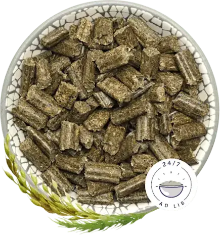 Bunny Nature Bunny Nature - KonijnenDroom Basic - 25 kilo Bunny Nature Bunny Nature - KonijnenDroom Basic - 25 kilo