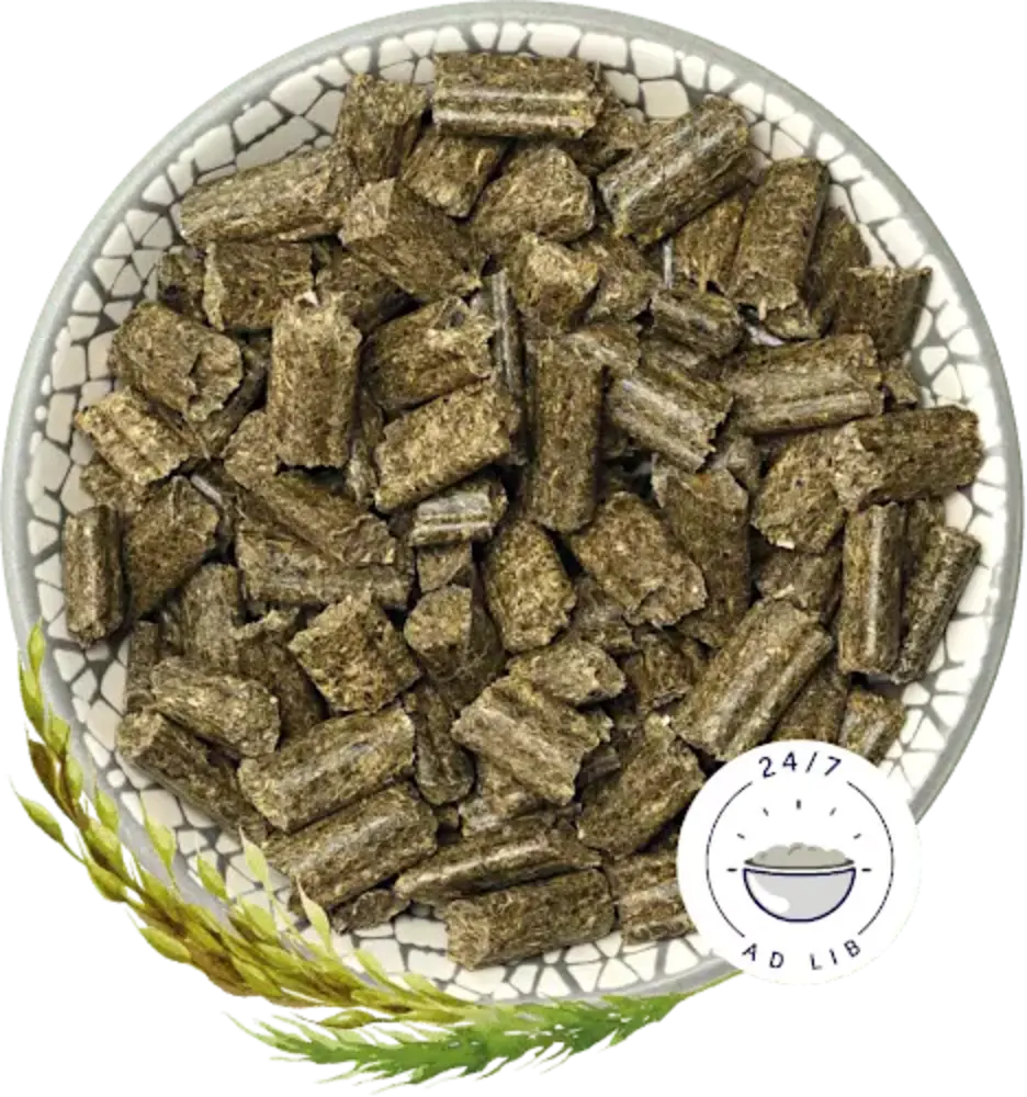 Bunny Nature Bunny Nature - KonijnenDroom Herbs Bunny Nature Bunny Nature - KonijnenDroom Herbs