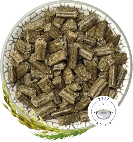 Bunny Nature Bunny Nature - KonijnenDroom Herbs Bunny Nature Bunny Nature - KonijnenDroom Herbs