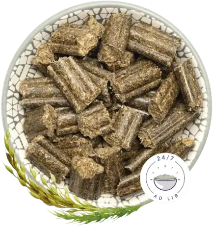 Bunny Nature Bunny Nature - KonijnenDroom Large Breed Bunny Nature Bunny Nature - KonijnenDroom Large Breed