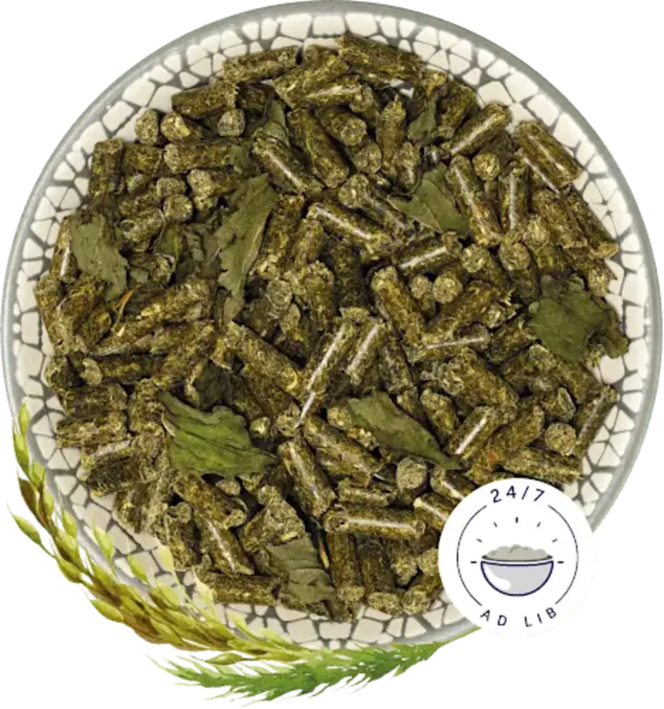 Bunny Nature Bunny Nature CaviaDroom Basic Bunny Nature Bunny Nature CaviaDroom Basic