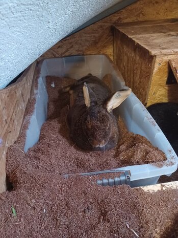 Allkokos Allkokos Kokosvezel Bodembedekking - 40 liter