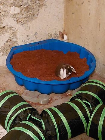 Allkokos Allkokos Kokosvezel Bodembedekking - 40 liter