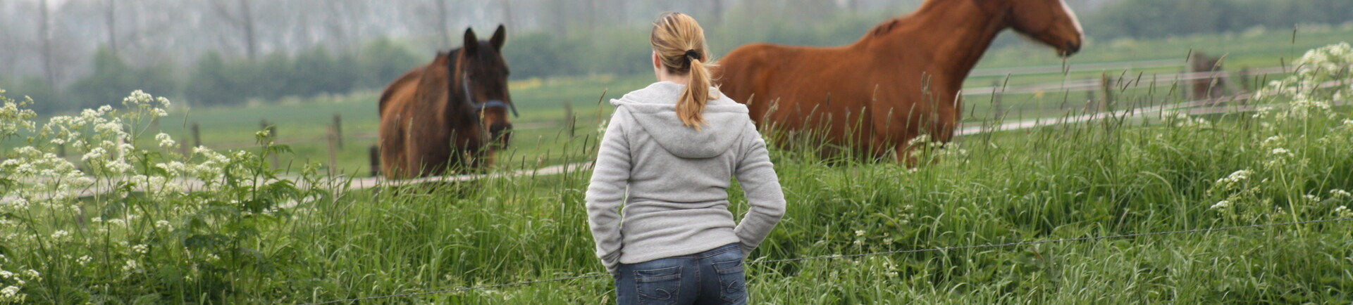 Je paard in het voorjaar de wei op: waar moet je op letten.