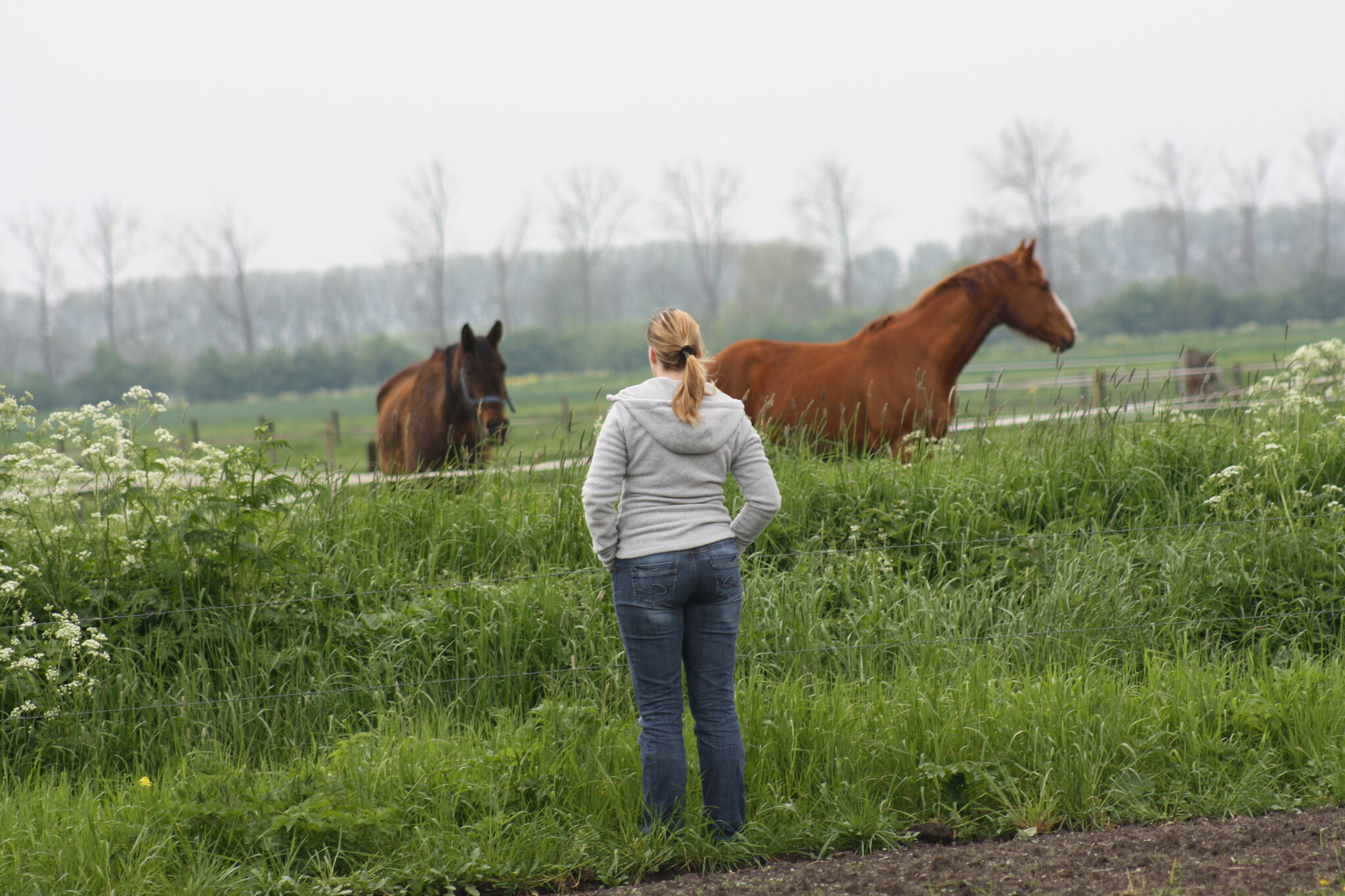 Je paard in het voorjaar de wei op: waar moet je op letten.