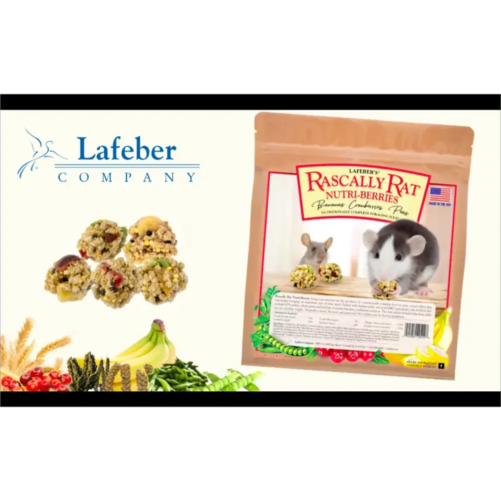 Lafeber's Lafeber's Rascally Rat Nutri-Berries - 284 gram - 1+1 GRATIS ivm datum Lafeber's Lafeber's Rascally Rat Nutri-Berries - 284 gram - 1+1 GRATIS ivm datum