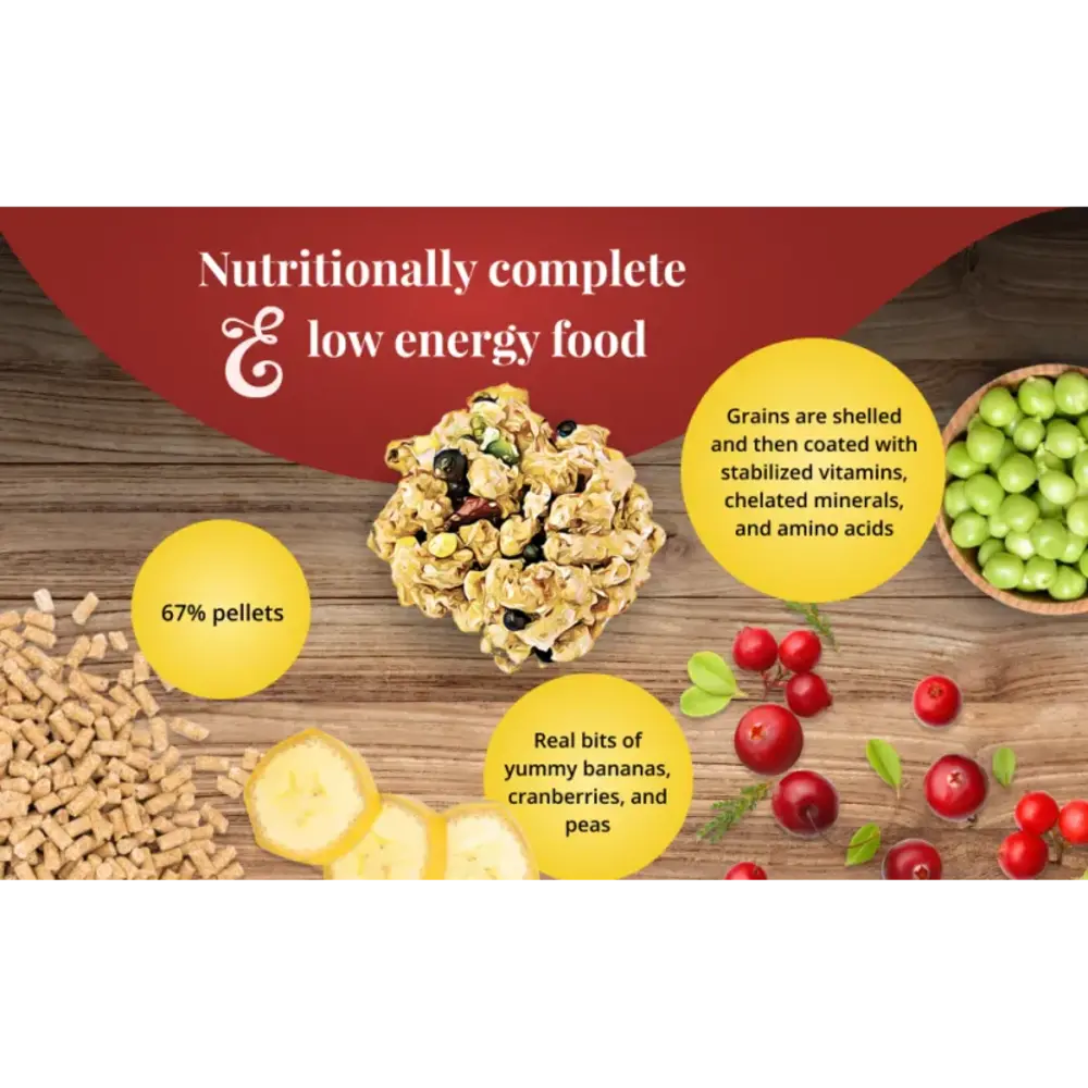 Lafeber's Lafeber's Rascally Rat Nutri-Berries - 284 gram - 1+1 GRATIS ivm datum Lafeber's Lafeber's Rascally Rat Nutri-Berries - 284 gram - 1+1 GRATIS ivm datum