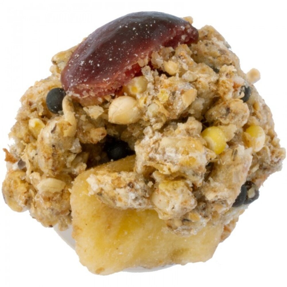 Lafeber's Lafeber's Rascally Rat Nutri-Berries - 284 gram - 1+1 GRATIS ivm datum Lafeber's Lafeber's Rascally Rat Nutri-Berries - 284 gram - 1+1 GRATIS ivm datum