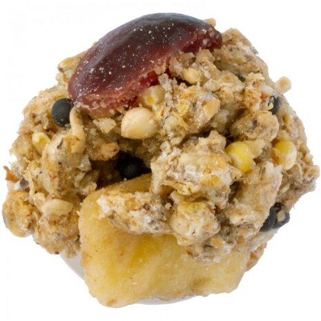 Lafeber's Lafeber's Rascally Rat Nutri-Berries - 284 gram - 1+1 GRATIS ivm datum Lafeber's Lafeber's Rascally Rat Nutri-Berries - 284 gram - 1+1 GRATIS ivm datum