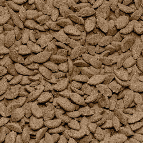 Beaphar Beaphar Care+ Chinchilla - 1.50 kilo Beaphar Beaphar Care+ Chinchilla - 1.50 kilo