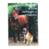 Boek - Bachremedies voor honden en paarden Boek - Bachremedies voor honden en paarden