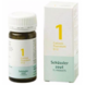 Schlüssler Schlüssler zout - Celzout nummer 1 - Calcium Fluoratum - 100 tabletten Schlüssler Schlüssler zout - Celzout nummer 1 - Calcium Fluoratum - 100 tabletten