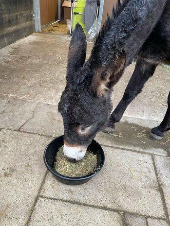 Herbimals Losse Herbimals Kruidenbox - Maandbox - Ezel Herbimals Losse Herbimals Kruidenbox - Maandbox - Ezel