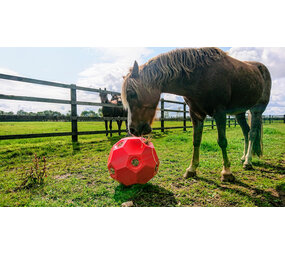 Parallax Parallax Hay Play Ball - Voerbal Parallax Parallax Hay Play Ball - Voerbal