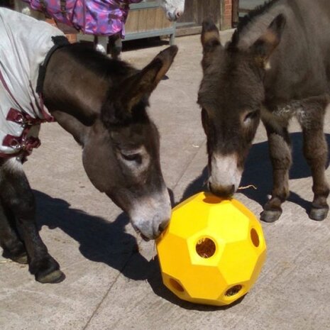 Parallax Parallax Hay Play Ball - Voerbal Parallax Parallax Hay Play Ball - Voerbal