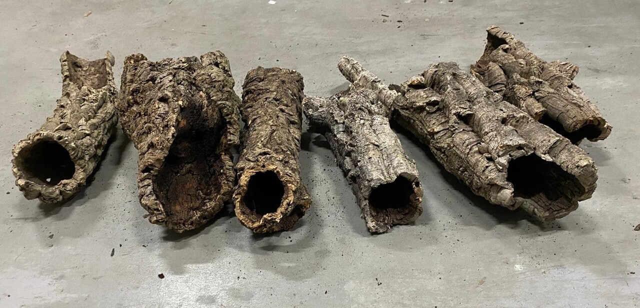 D-tails Kurk Tunnel Kort - Gerbil - Muis - Hamster D-tails Kurk Tunnel Kort - Gerbil - Muis - Hamster