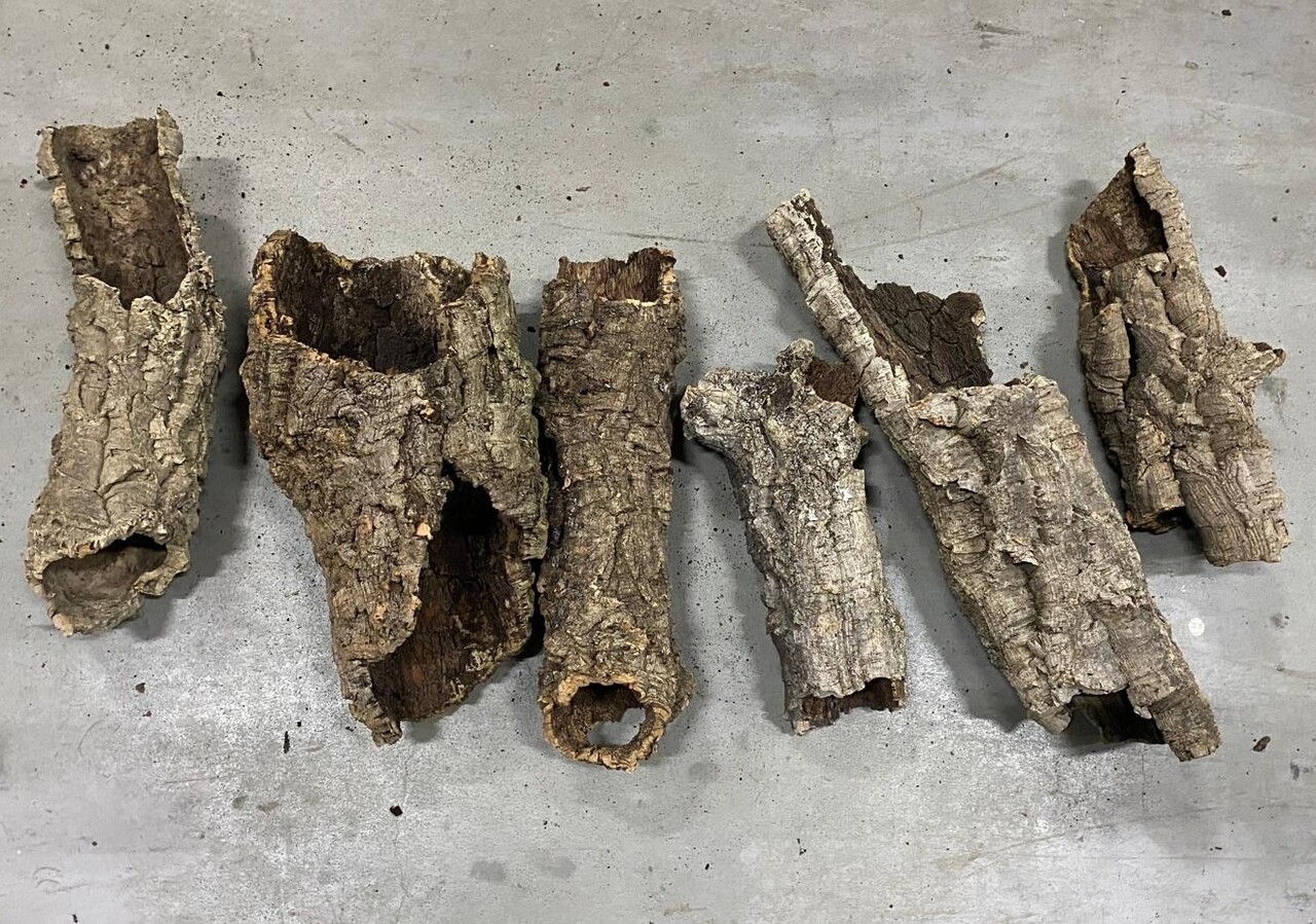 D-tails Kurk Tunnel Kort - Gerbil - Muis - Hamster D-tails Kurk Tunnel Kort - Gerbil - Muis - Hamster