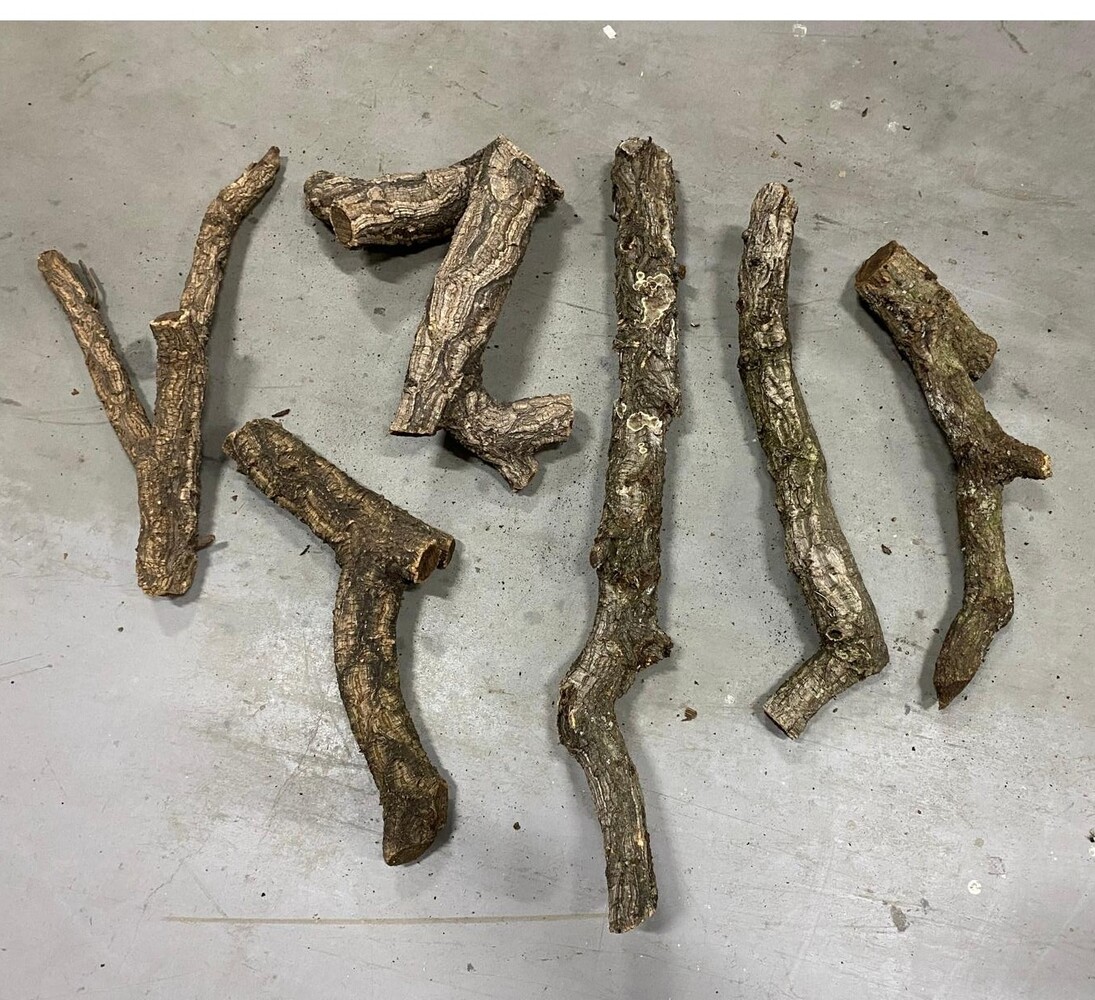 Kurk stam - boomstronk - Groot Kurk stam - boomstronk - Groot