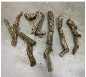 Kurk stam - boomstronk - Groot Kurk stam - boomstronk - Groot