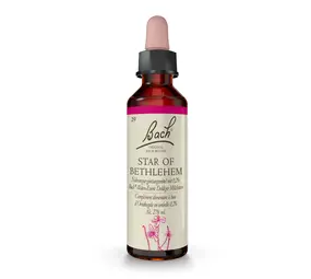 Bach Bach Bloesem - Star of Betlehem - Vogelmelk - 20 ml Bach Bach Bloesem - Star of Betlehem - Vogelmelk - 20 ml
