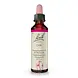 Bach Bach Bloesem - Oak - Eik - Zomereik - 20 ml Bach Bach Bloesem - Oak - Eik - Zomereik - 20 ml