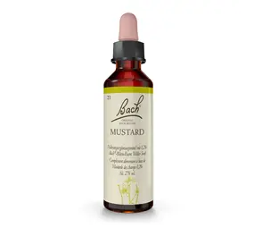 Bach Bach Bloesem - Mustard - Herik - 20 ml Bach Bach Bloesem - Mustard - Herik - 20 ml