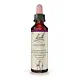 Bach Bach Bloesem - Heather - Struikheide - 20 ml Bach Bach Bloesem - Heather - Struikheide - 20 ml