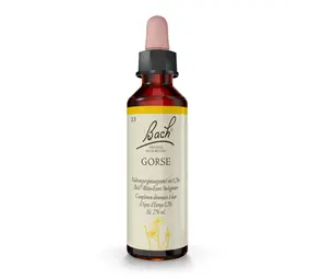 Bach Bach Bloesem - Gorse - Gaspeldoorn - 20 ml Bach Bach Bloesem - Gorse - Gaspeldoorn - 20 ml