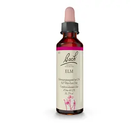 Bach Bach Bloesem - Elm - Veldiep - Olm - 20 ml Bach Bach Bloesem - Elm - Veldiep - Olm - 20 ml