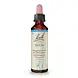 Bach Bach Bloesem - Beech - Beuk - 20 ml Bach Bach Bloesem - Beech - Beuk - 20 ml