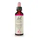 Bach Bach Bloesem - Willow - Wilg - Bindwilg - 20 ml Bach Bach Bloesem - Willow - Wilg - Bindwilg - 20 ml