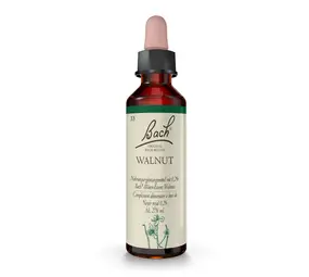 Bach Bach Bloesem - Walnut - Walnoot - 20 ml Bach Bach Bloesem - Walnut - Walnoot - 20 ml