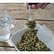 Herbimals Herbimals Thee - voorheen Silverlinde Thee Herbimals Herbimals Thee - voorheen Silverlinde Thee