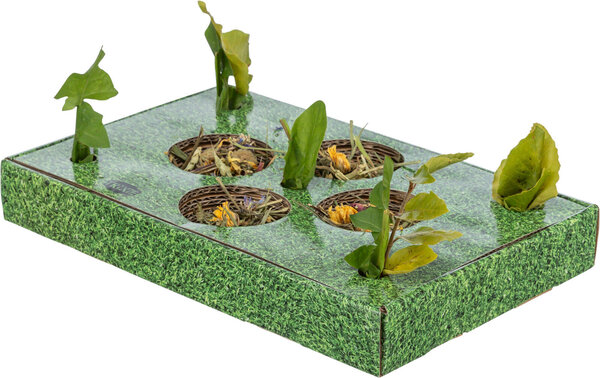 Trixie Trixie Snack Karton - 28 × 3,8 × 18 cm