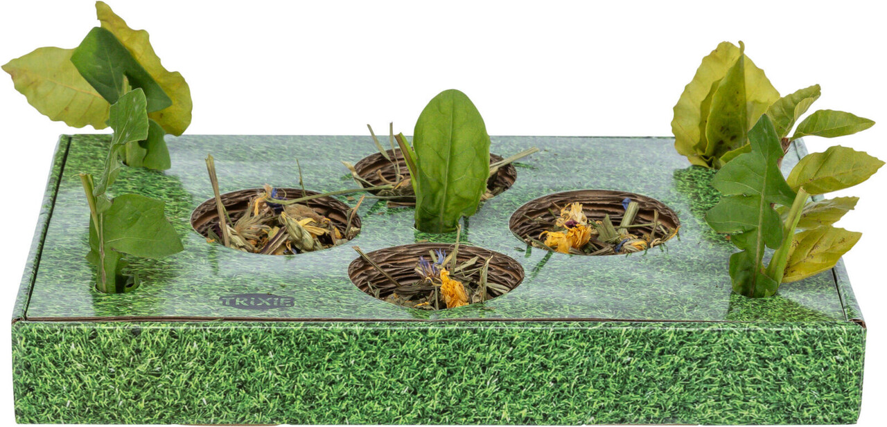 Trixie Trixie Snack Karton - 28 × 3,8 × 18 cm