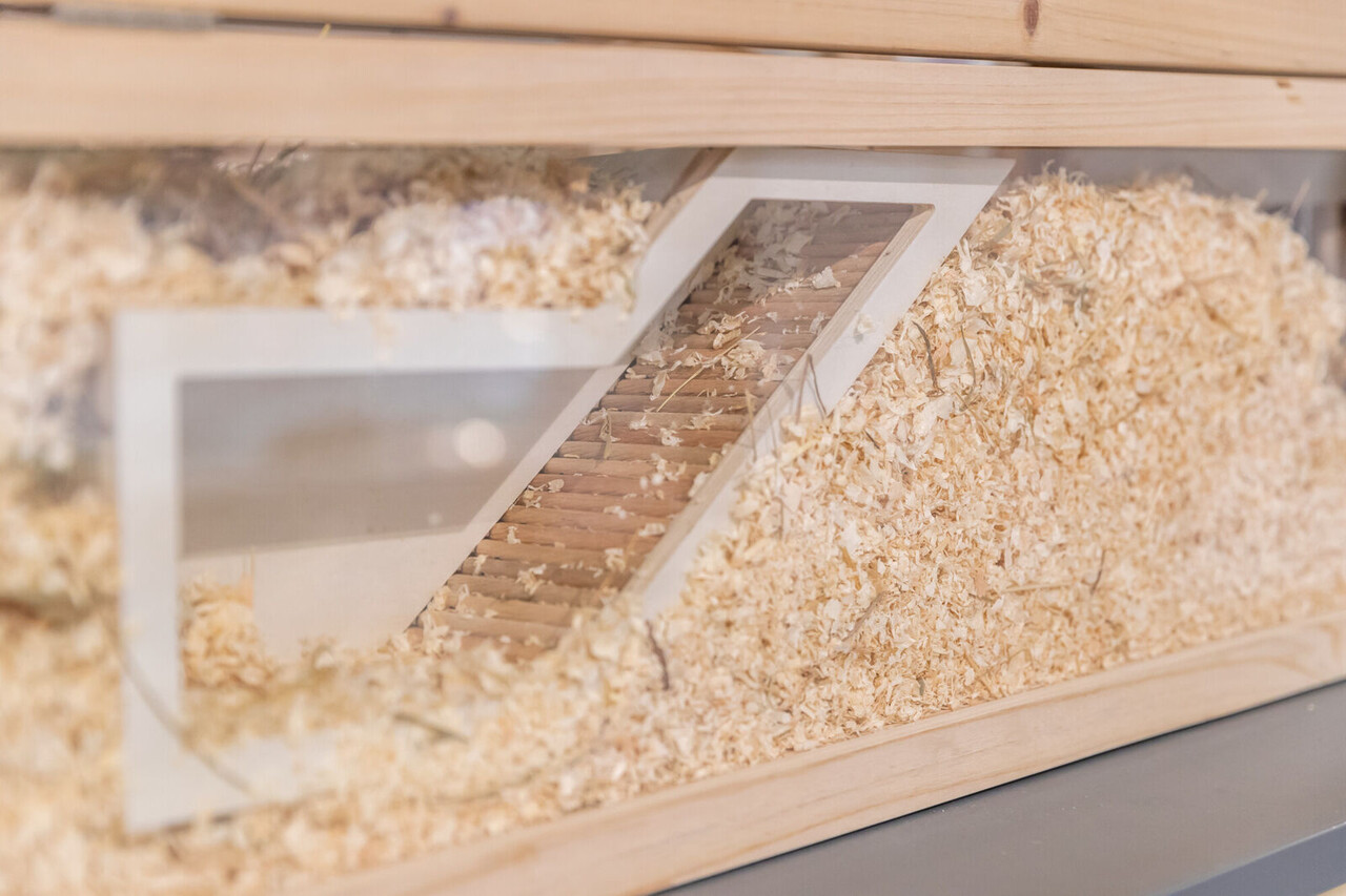 Trixie Trixie Houten Kijkvak - 36 × 17 cm - Observatievak