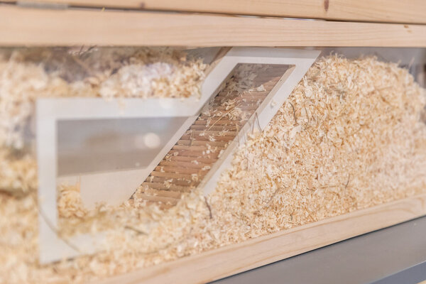 Trixie Trixie Houten Kijkvak - 36 × 17 cm - Observatievak