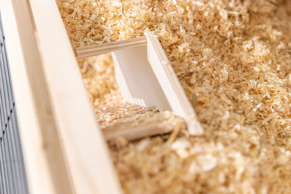 Trixie Trixie Houten Kijkvak - 36 × 17 cm - Observatievak