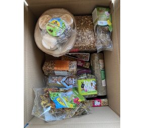 Zomerpret opruimbox - Large Zomerpret opruimbox - Large