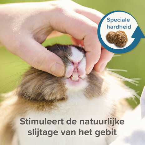 Beaphar Beaphar Care+ Konijn Beaphar Beaphar Care+ Konijn