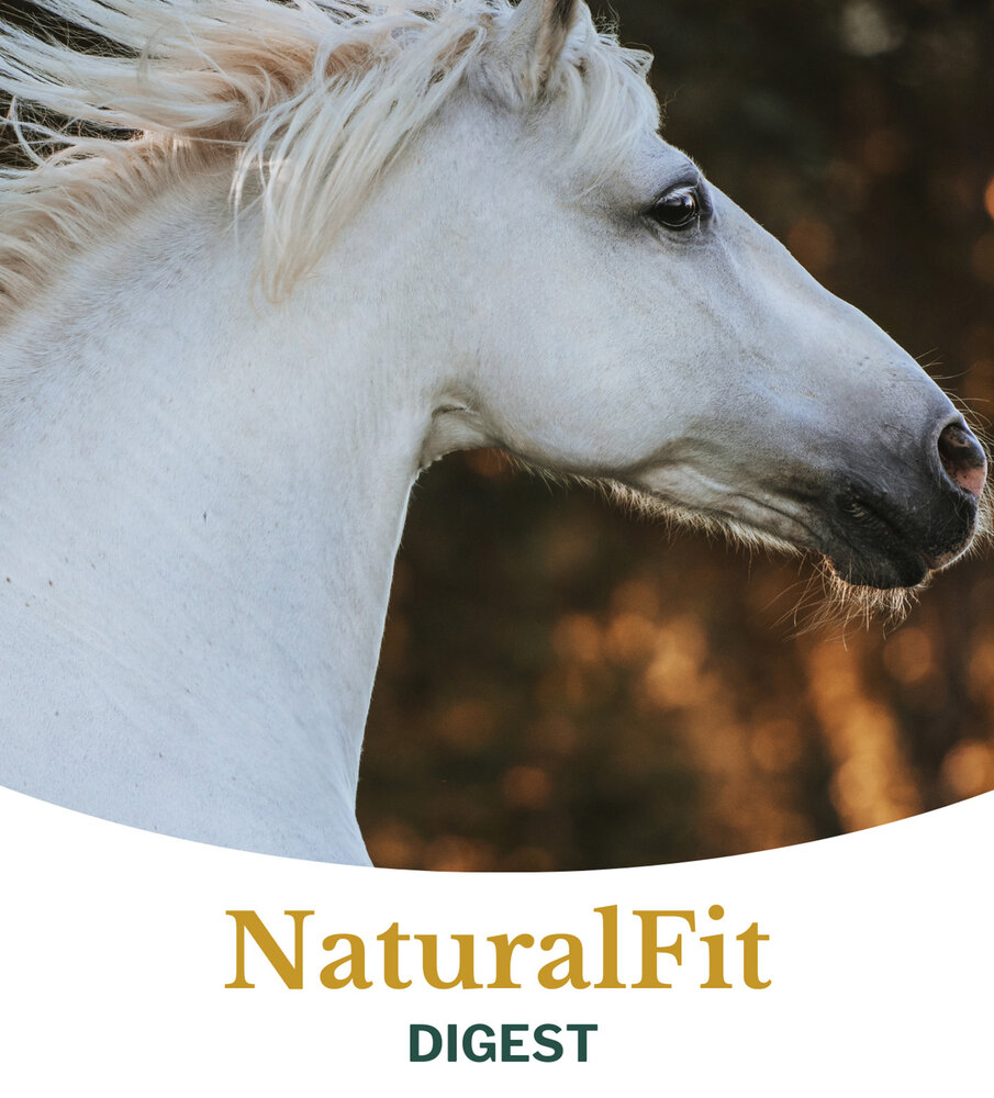 Metazoa Metazoa NaturalFit Digest - 15 kilo - voorheen DigestFit Esparcette