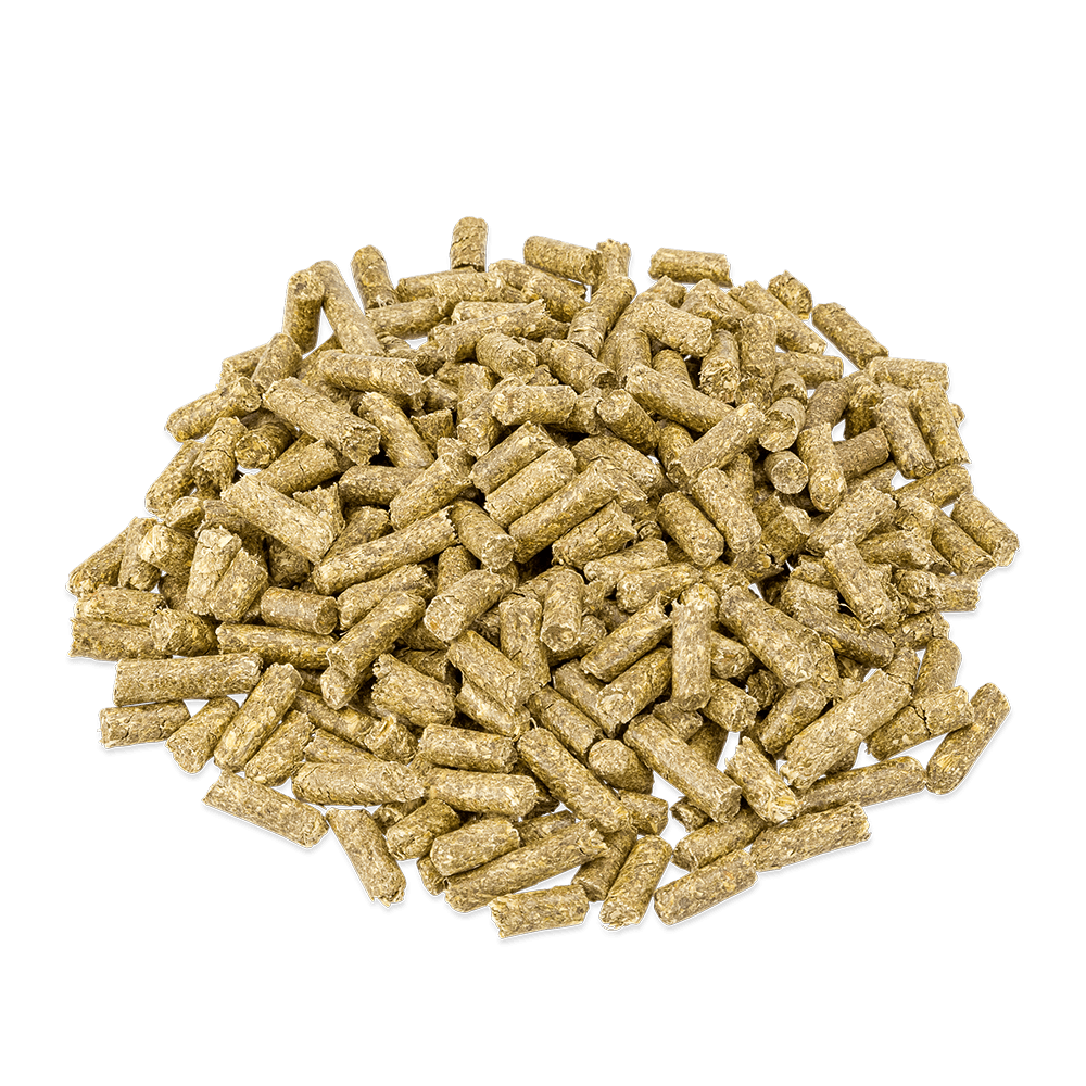 Metazoa Metazoa NaturalFit Digest - 15 kilo - voorheen DigestFit Esparcette