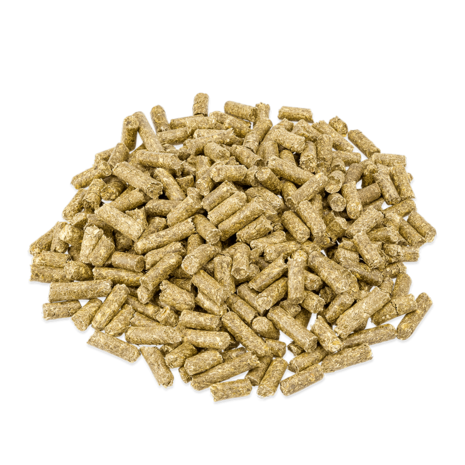 Metazoa Metazoa NaturalFit Digest - 15 kilo - voorheen DigestFit Esparcette