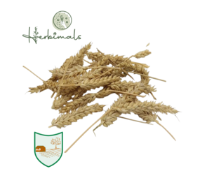 Herbimals Herbimals Tarwe aren Herbimals Herbimals Tarwe aren