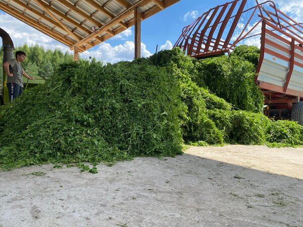 Herbimals Herbimals Luzerne - grof gehakseld Herbimals Herbimals Luzerne - grof gehakseld