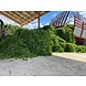 Herbimals Herbimals Luzerne - grof gehakseld Herbimals Herbimals Luzerne - grof gehakseld